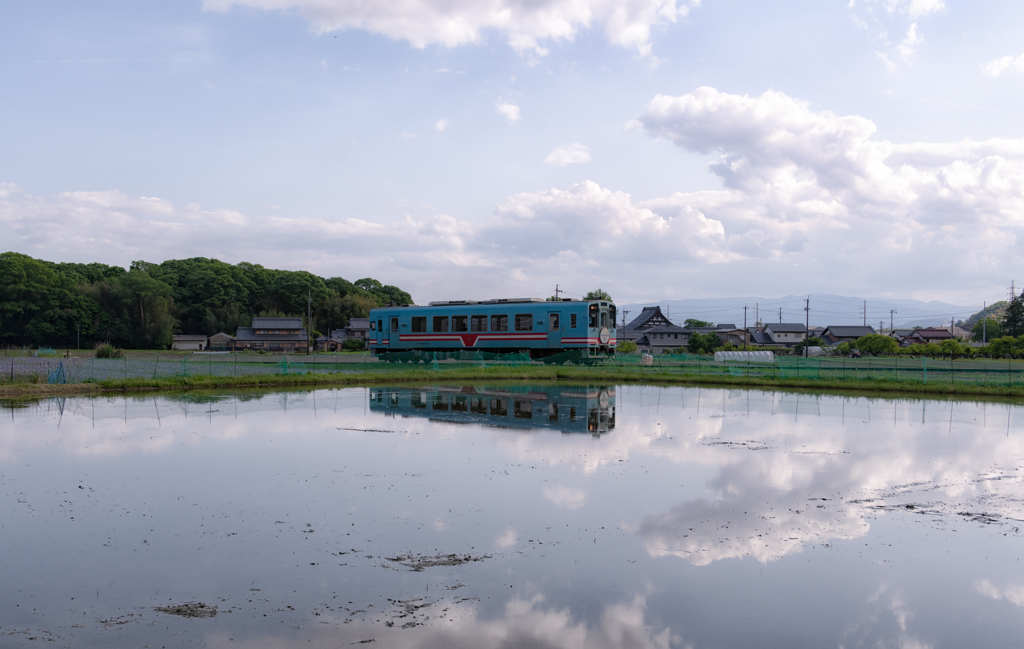 水田コラボ①