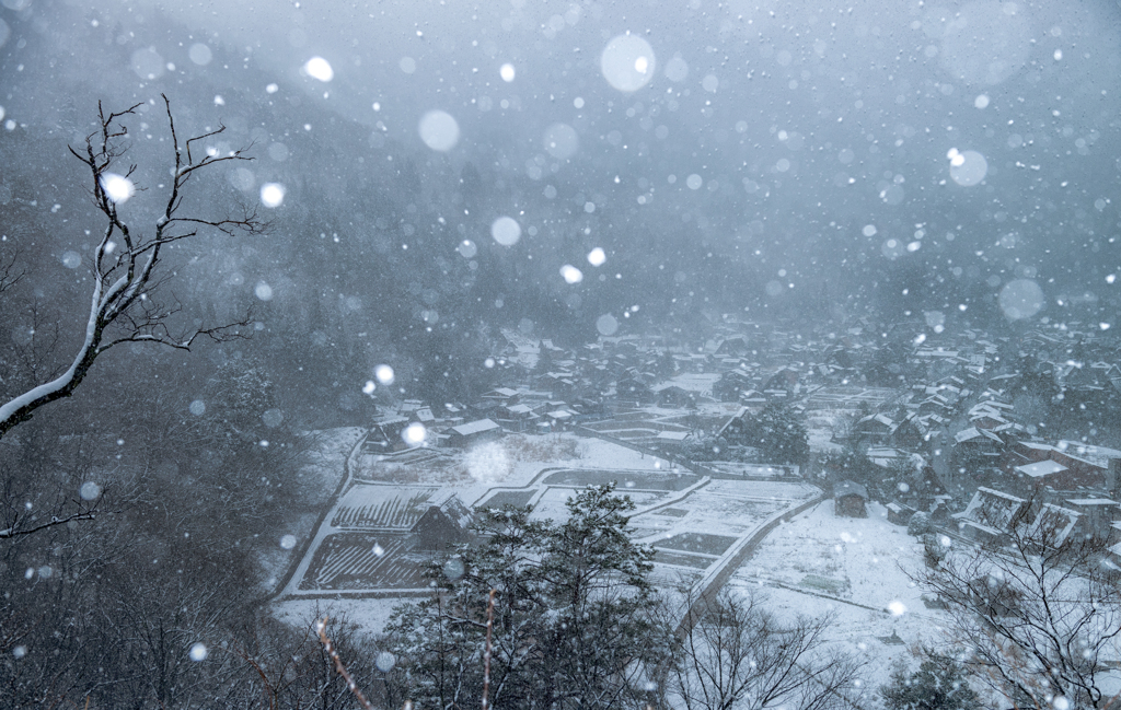 雪見②