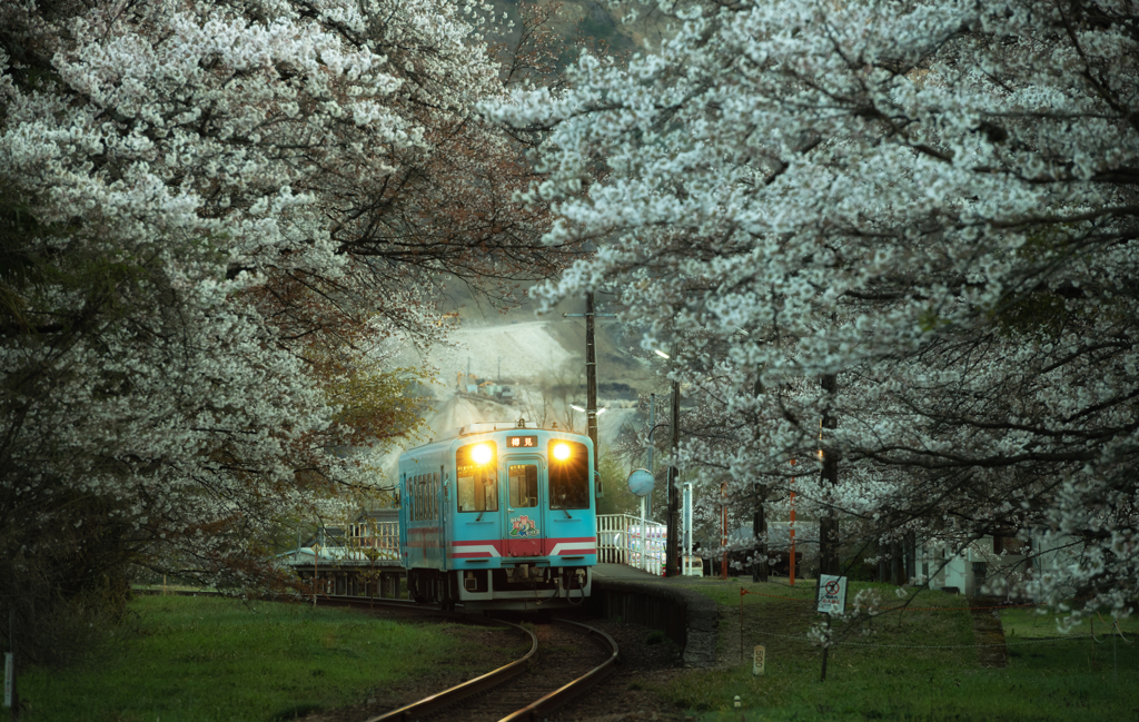 夕刻の樽見鉄道