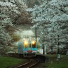 夕刻の樽見鉄道