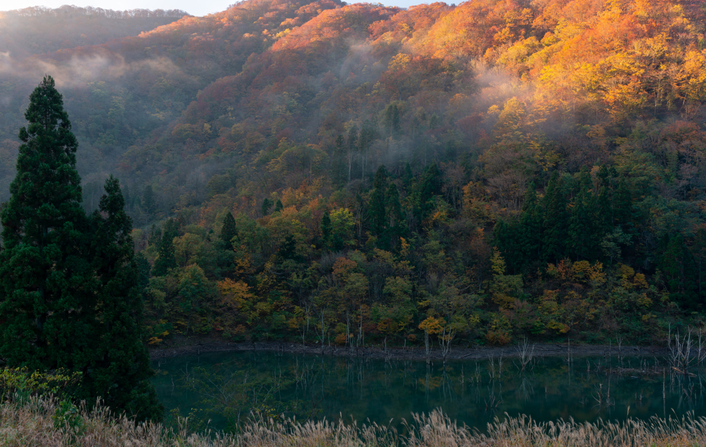 とある湖の朝景