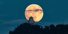 8月の月城