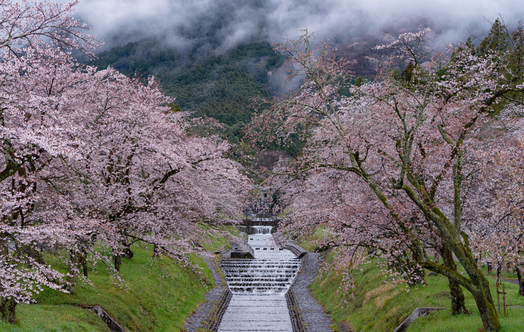 雨の朝活2