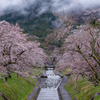 雨の朝活2