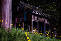 夜更けの姫