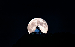 9月の月城