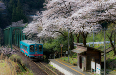 ローカル線で春巡り