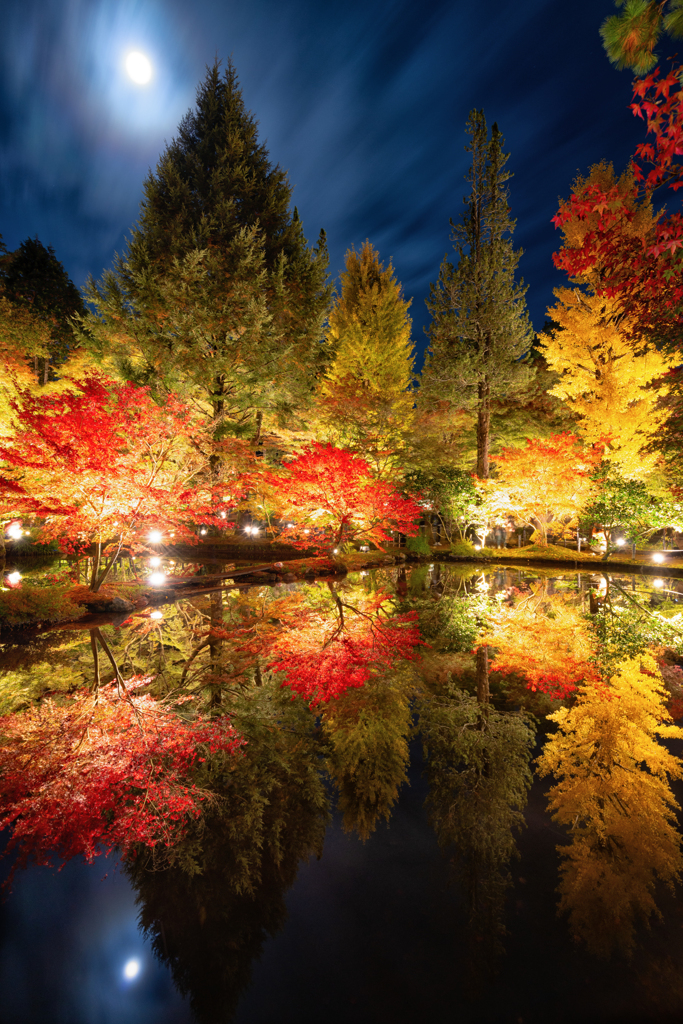 月夜の紅葉狩り②