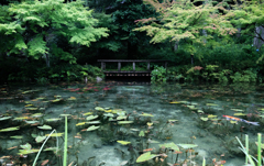 新緑で気分リフレッシュ