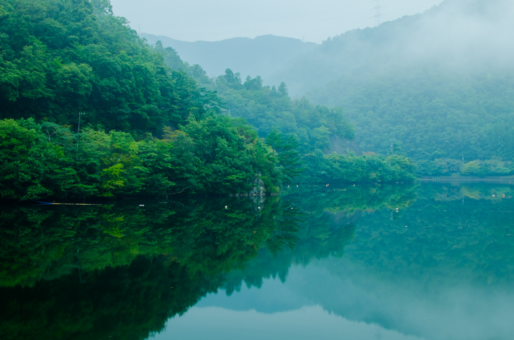 湖面に写る朝景