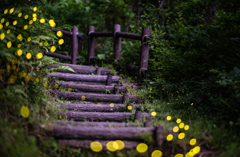 姫の散歩道