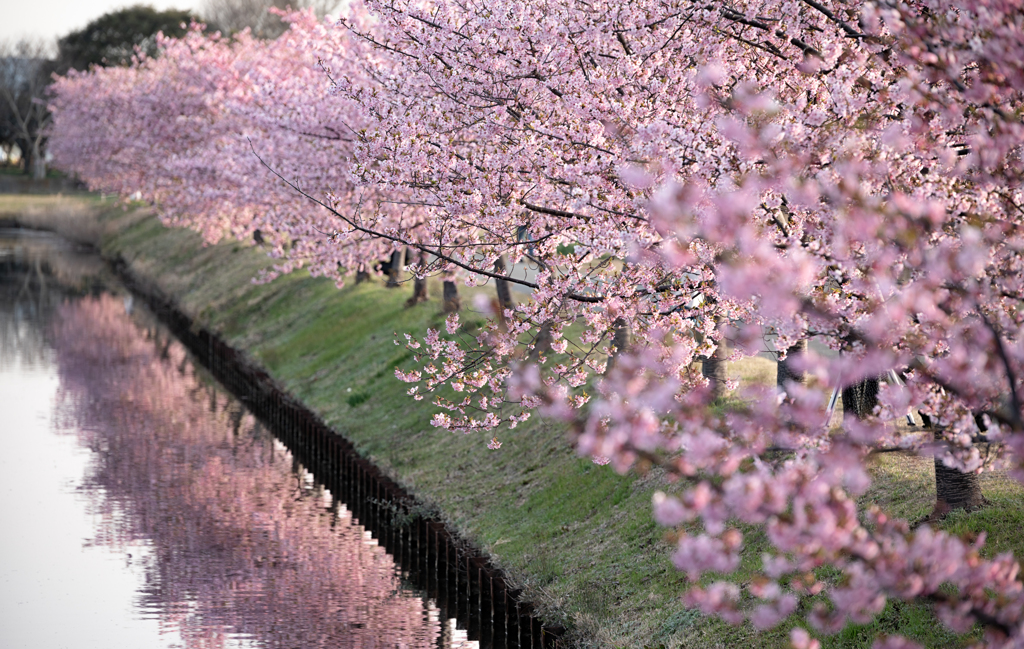 小春日和