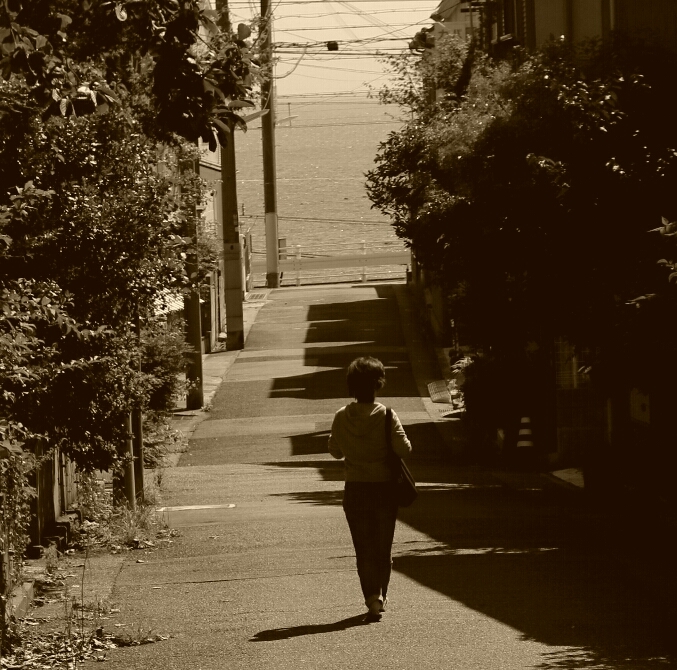 いつもの路
