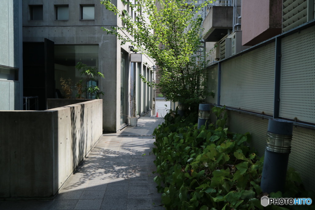 裏路地