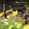 吹屋　べんがらの里