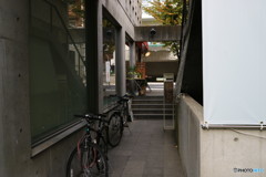 神戸　北野