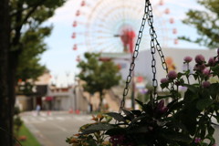 花と観覧車