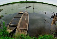 夏の水路