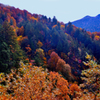 燧ケ岳紅葉