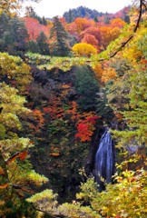 紅葉するモーカケの滝