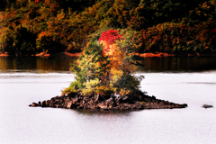 小島の紅葉