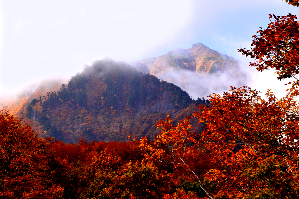 山装う１