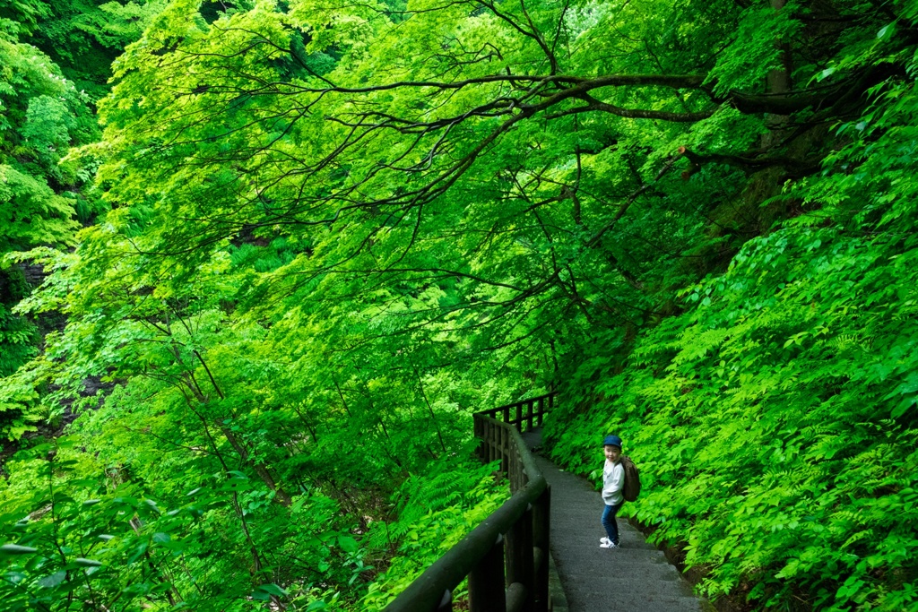 子安温泉郷