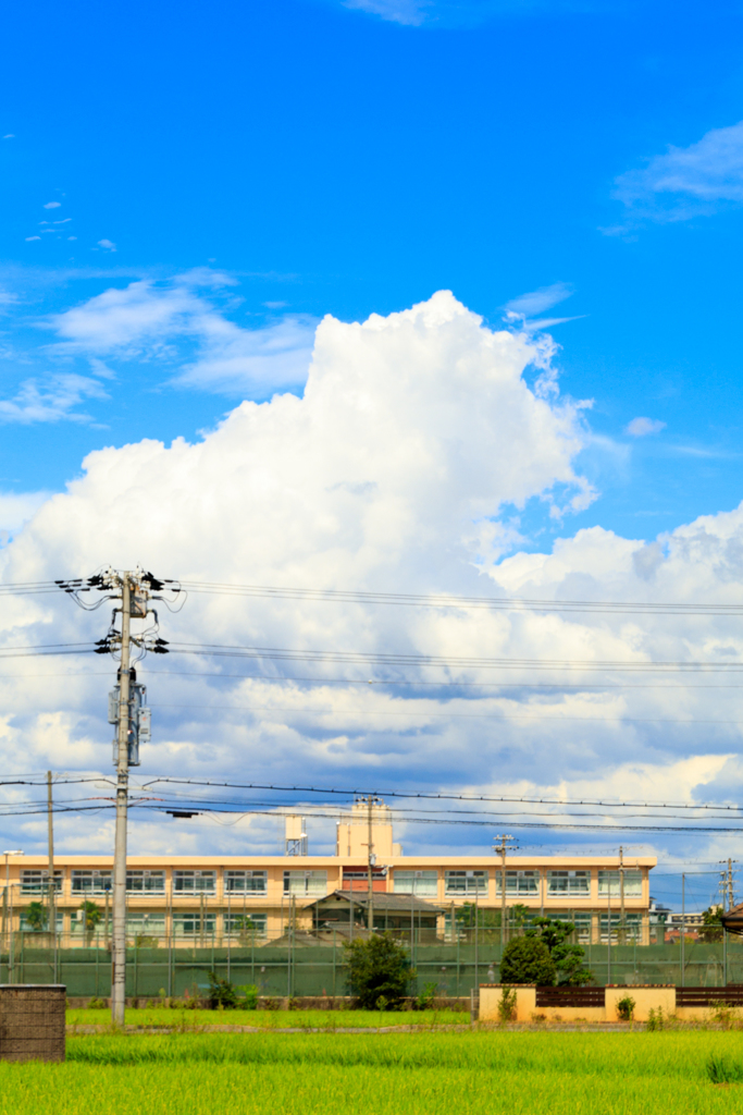 夏の空