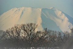 富士の峰