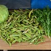 菜園・5月21日、エンドウ豆最終の収穫