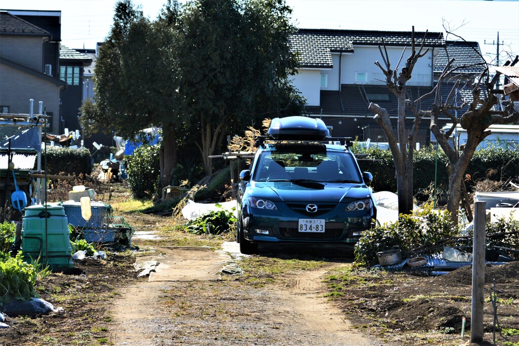 最低気温－4℃の菜園と愛車