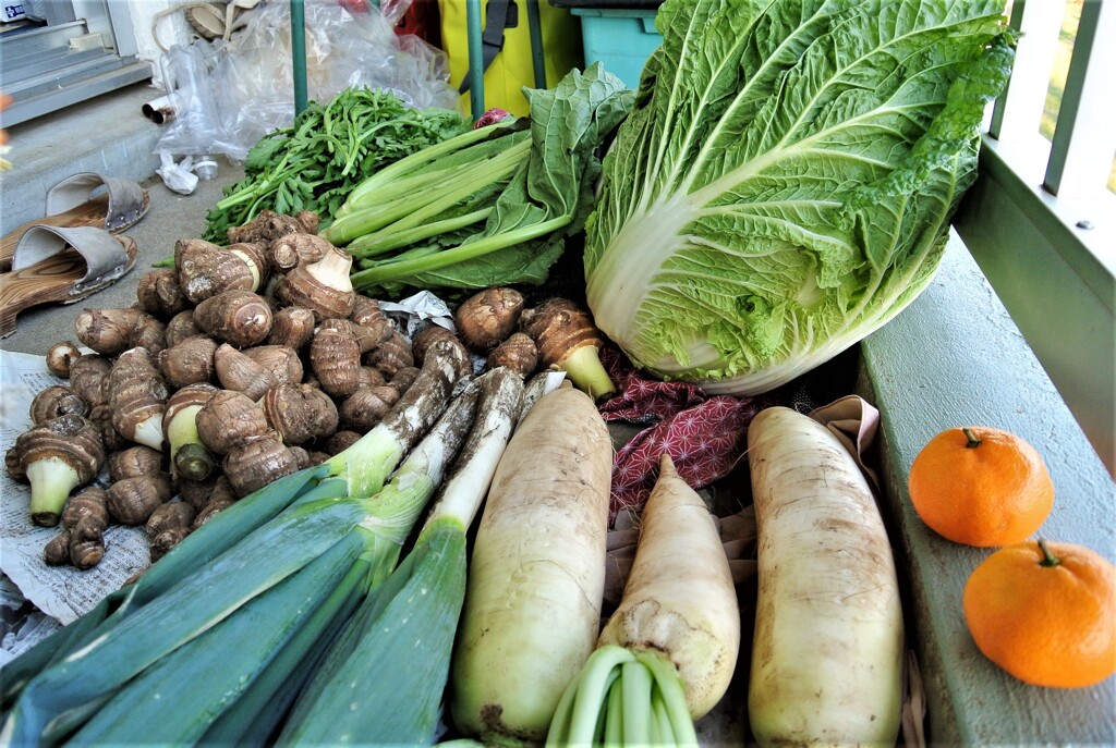 化け物ハクサイ