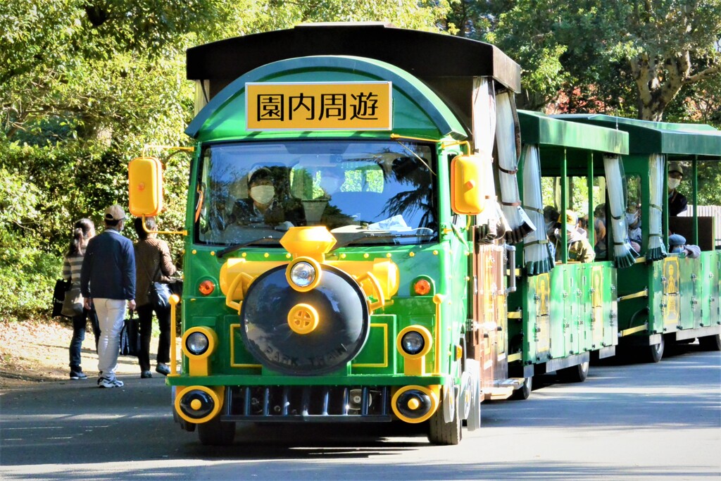 11月22日ウォークラリー昭和記念公園