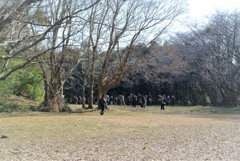ヒレンジャク撮影風景