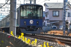 セイタカアワダチソウ沿線・西武新宿線ライオンズ電車（20000系）