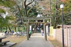 仙波東照宮
