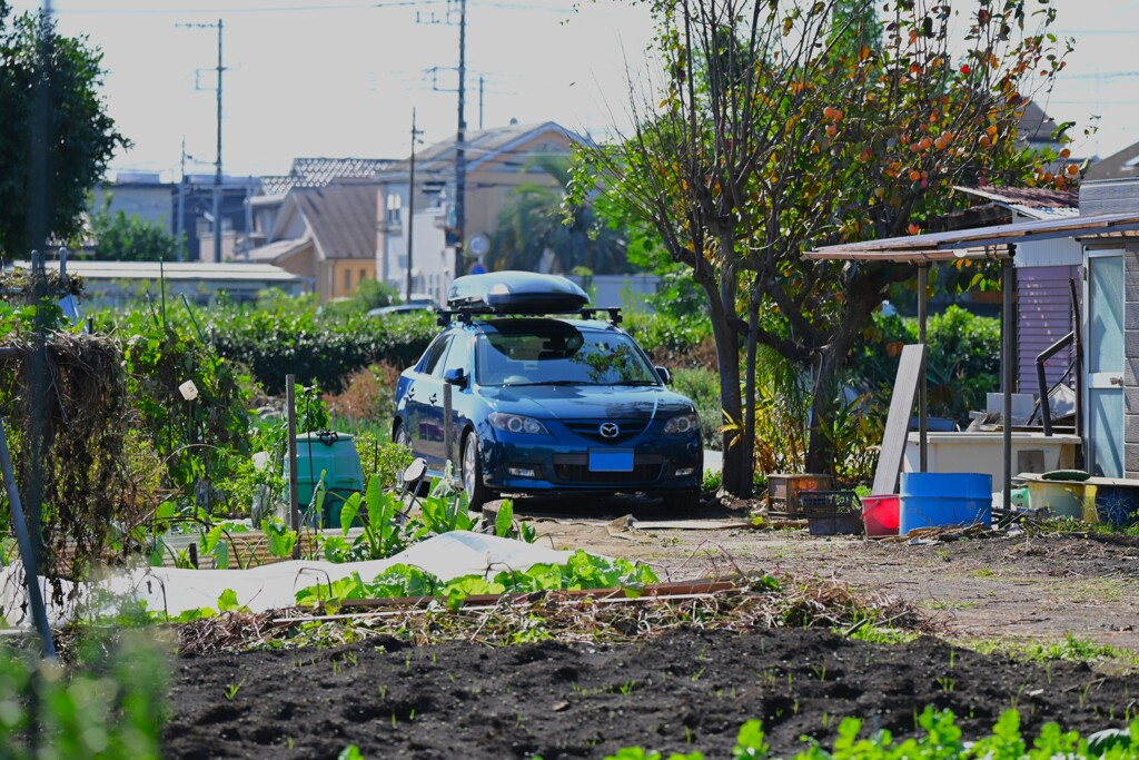 菜園・道具小屋周辺と愛車
