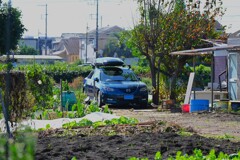 菜園・道具小屋周辺と愛車