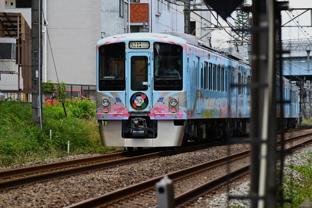 電柱被り沿線・旅するレストラン52席の至福（バックカラーピンク）
