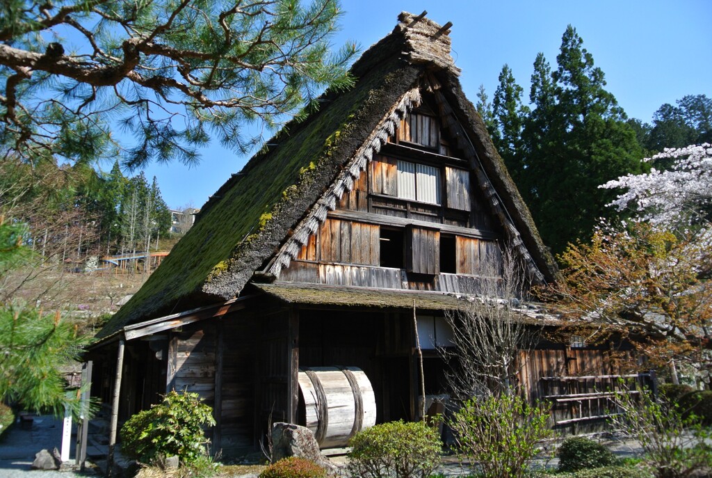 南木曽～下呂温泉の旅 (下呂温泉合掌村)