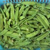 菜園・5月13日のキヌサヤ2kg収穫