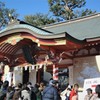 東伏見稲荷の猪