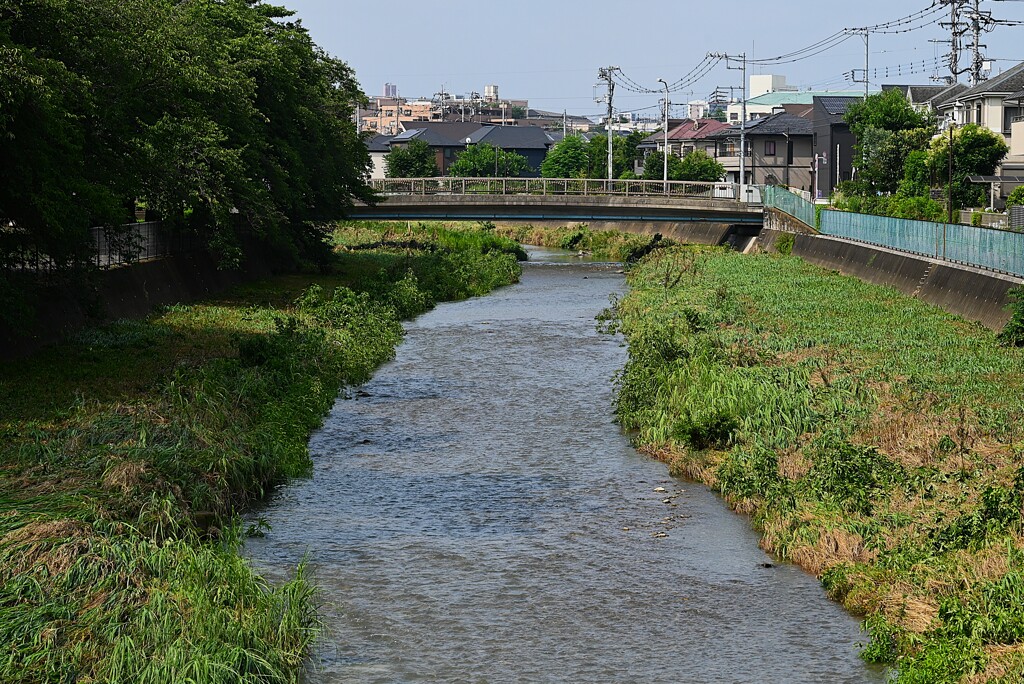 K川・涸れ川が前日の大雨で滔々と流れる