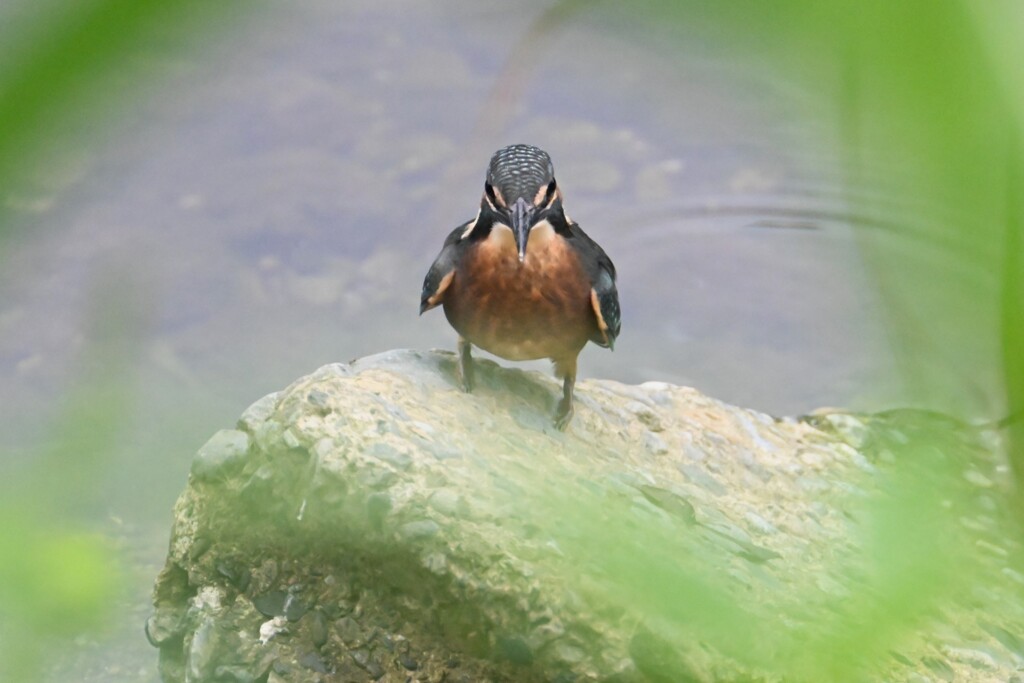 K川・「どんなもんだい！」
