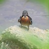 K川・「どんなもんだい！」