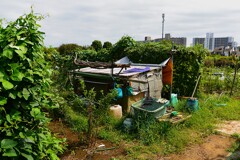菜園・道具小屋
