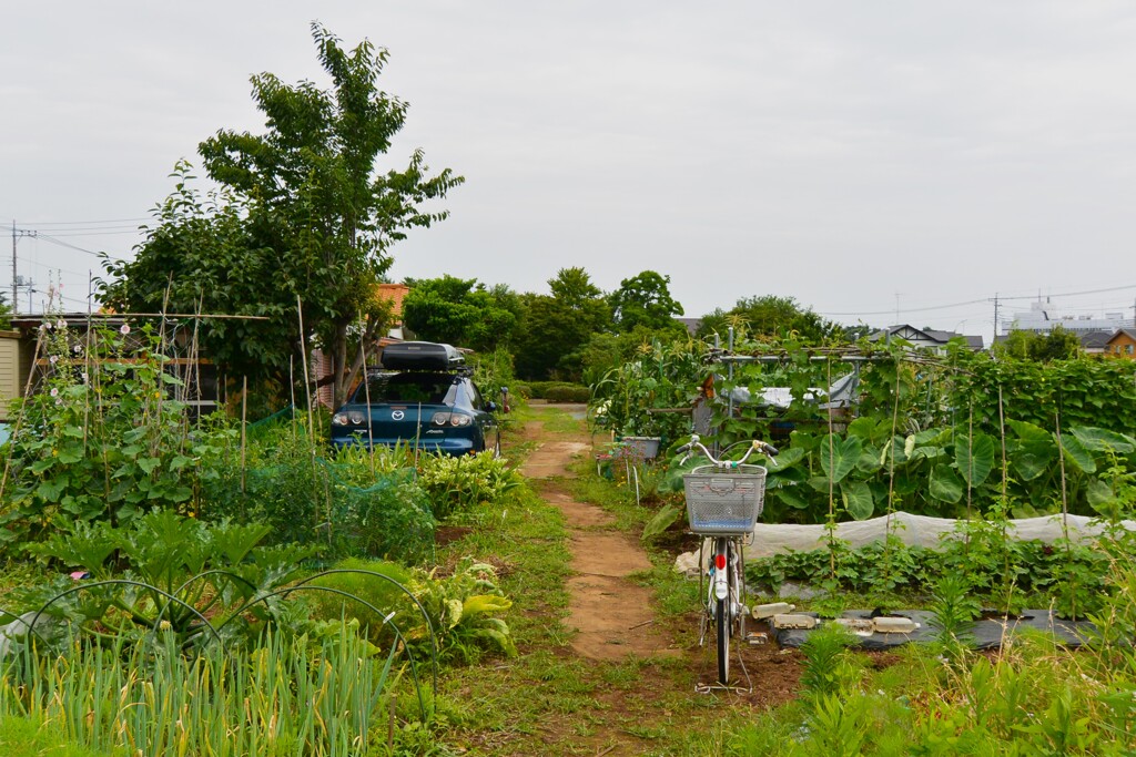菜園風景・道具小屋周辺と愛車