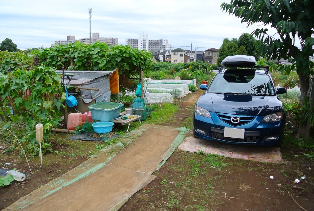 菜園・愛車と我道具小屋