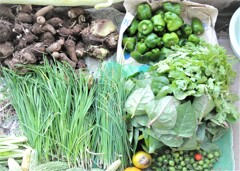 2020年10月12日菜園収穫・・