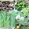 2020年10月12日菜園収穫・・